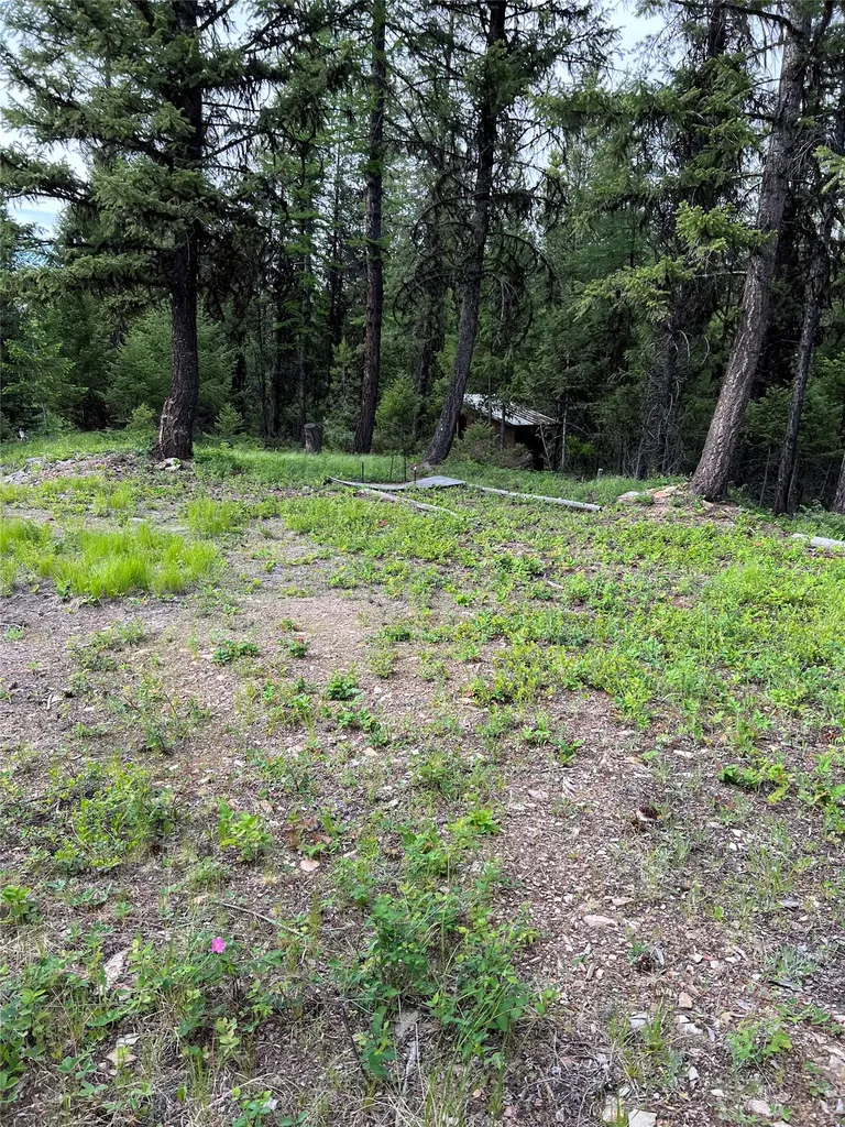 347 Soaring Eagle Trail Fortine MT 59918