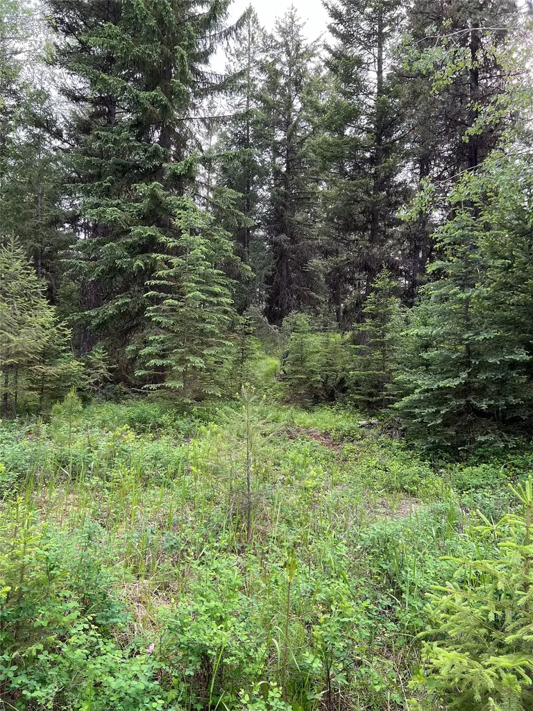 347 Soaring Eagle Trail Fortine MT 59918