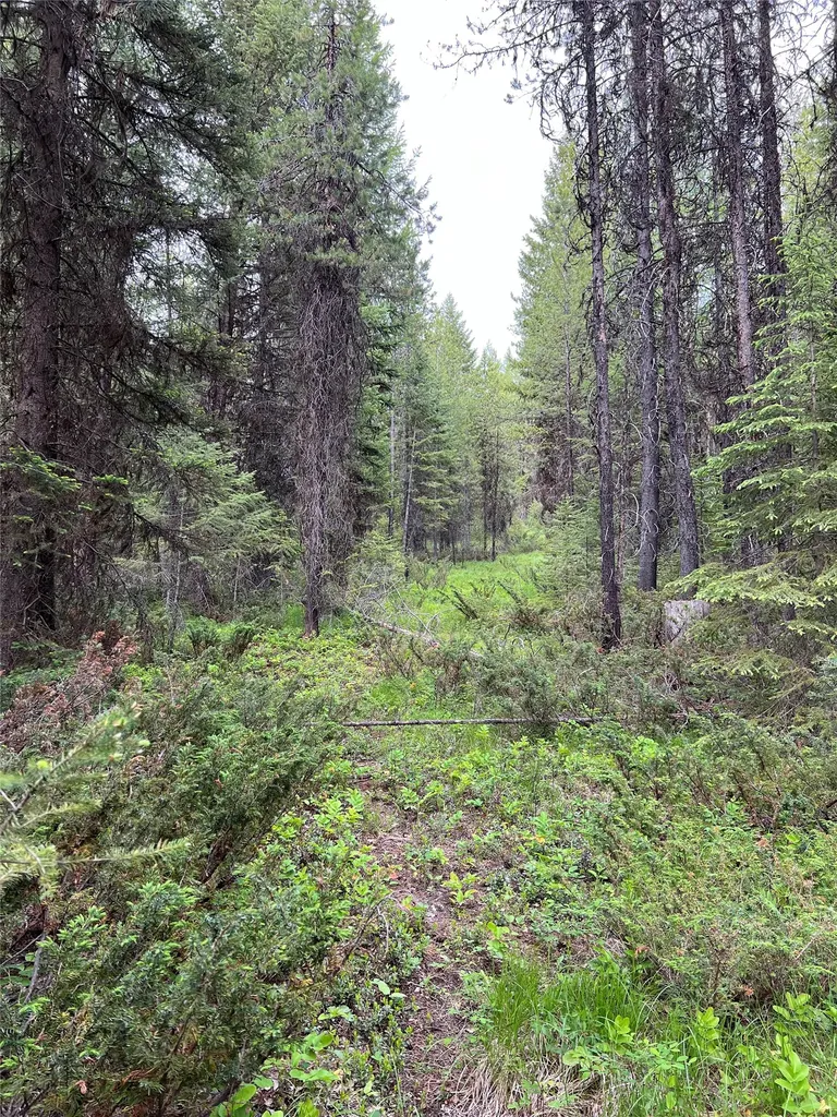 347 Soaring Eagle Trail Fortine MT 59918