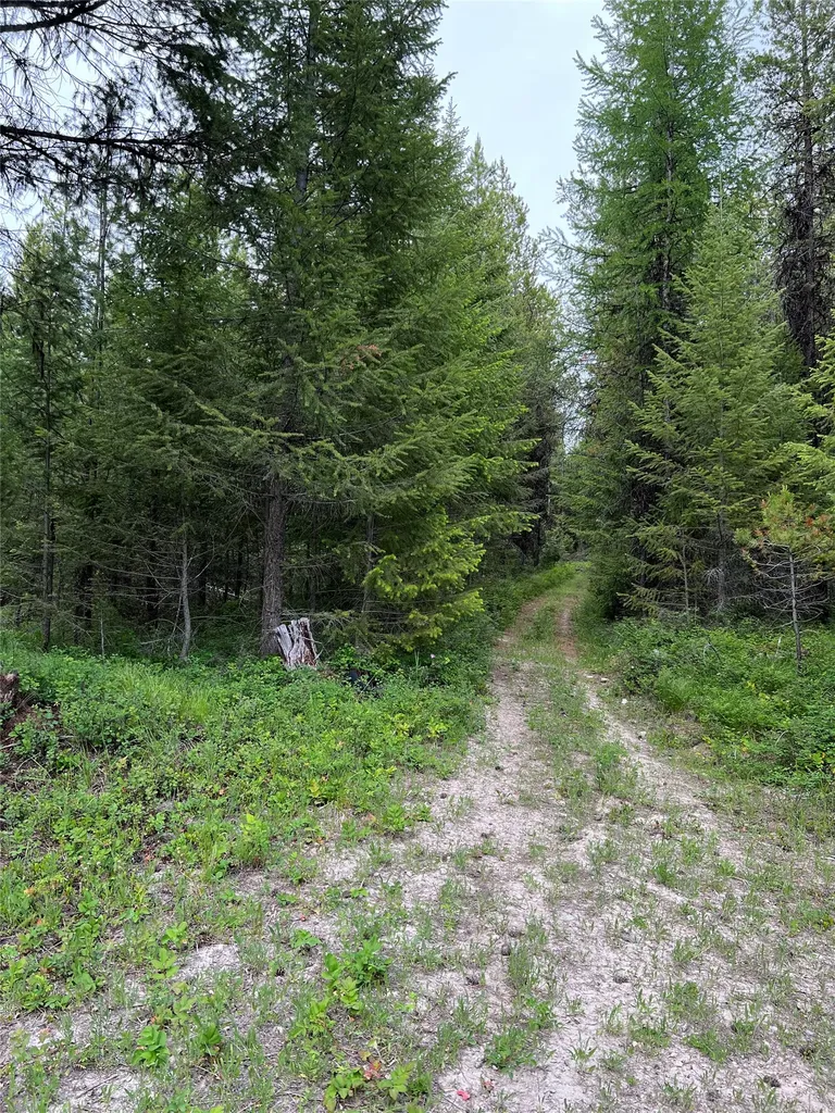 347 Soaring Eagle Trail Fortine MT 59918