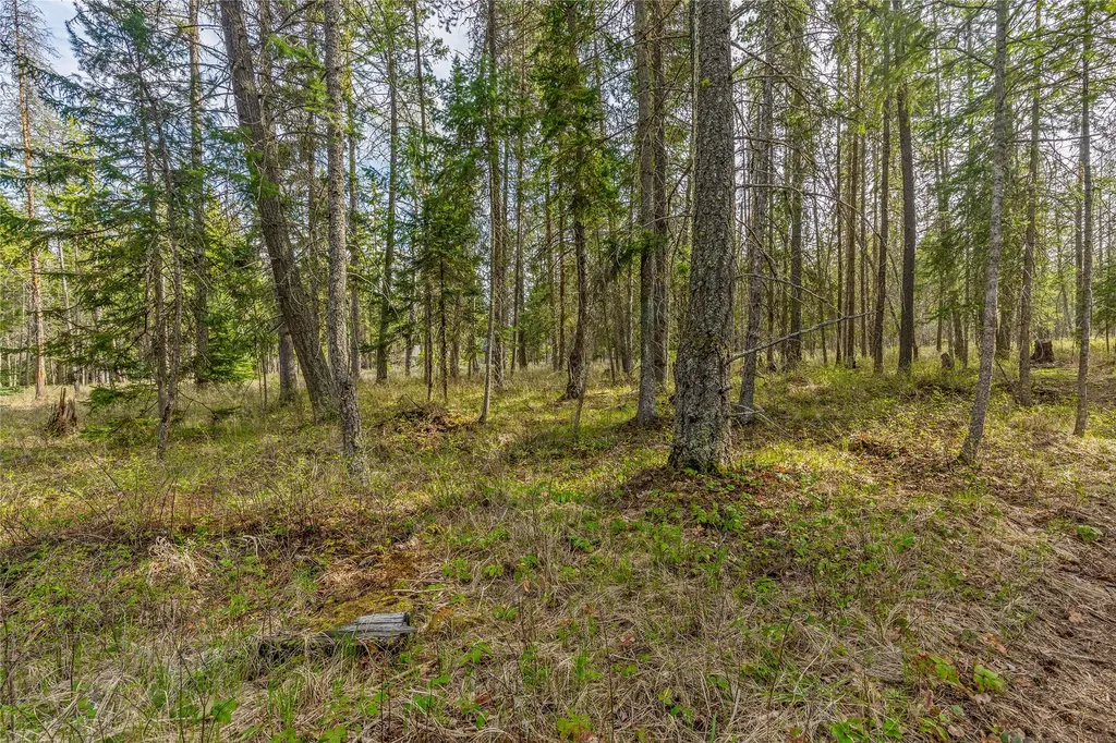 255 Blanchard Lake Road Whitefish MT 59937