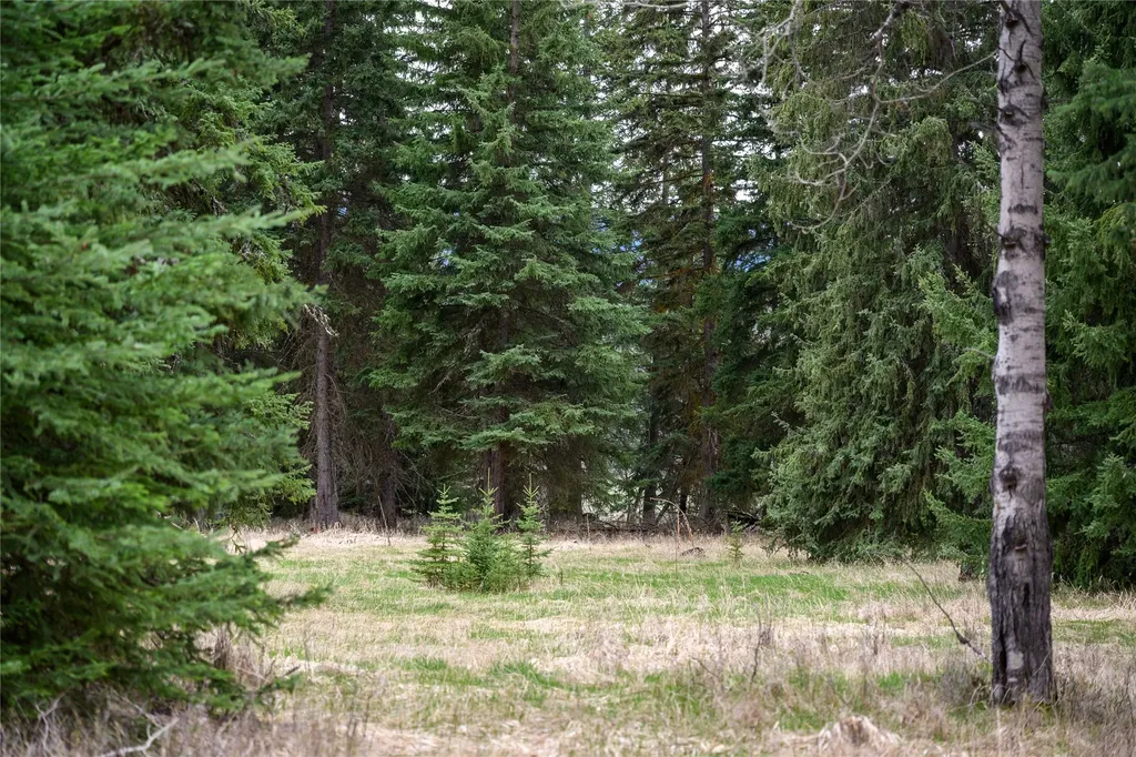 Nhn Browns Meadow Road Kila MT 59920