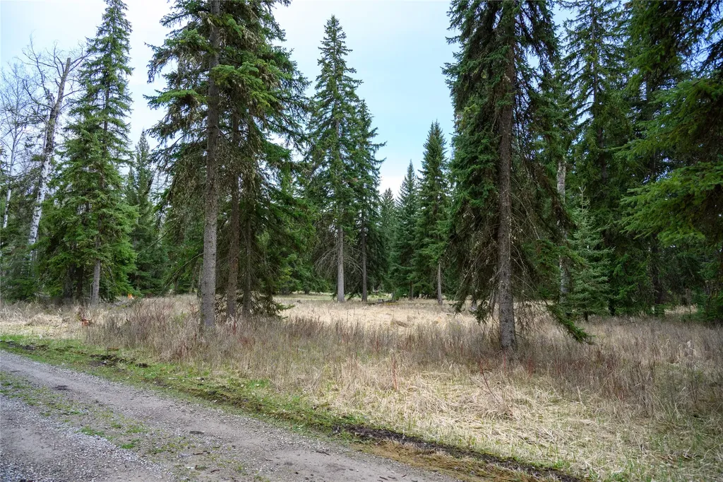 Nhn Browns Meadow Road Kila MT 59920