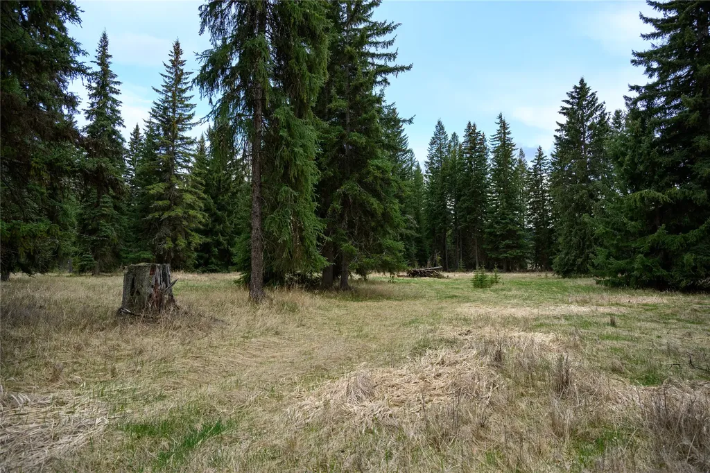 Nhn Browns Meadow Road Kila MT 59920