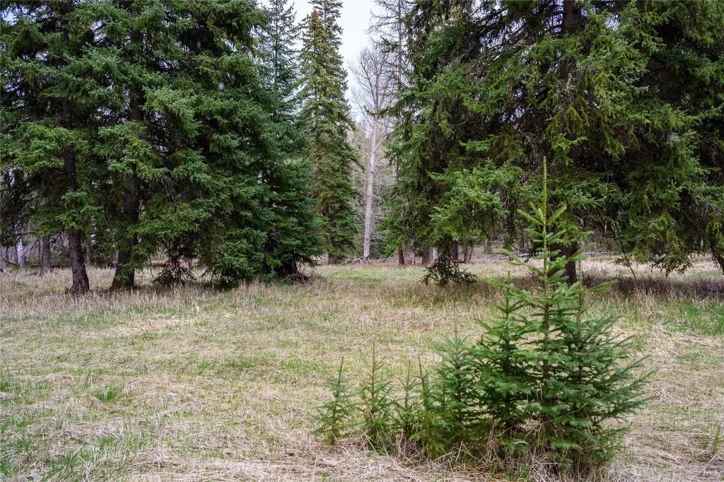 Nhn Browns Meadow Road Kila MT 59920