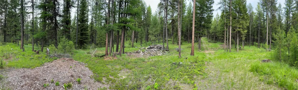 673 Soaring Eagle Trail Fortine MT 59918