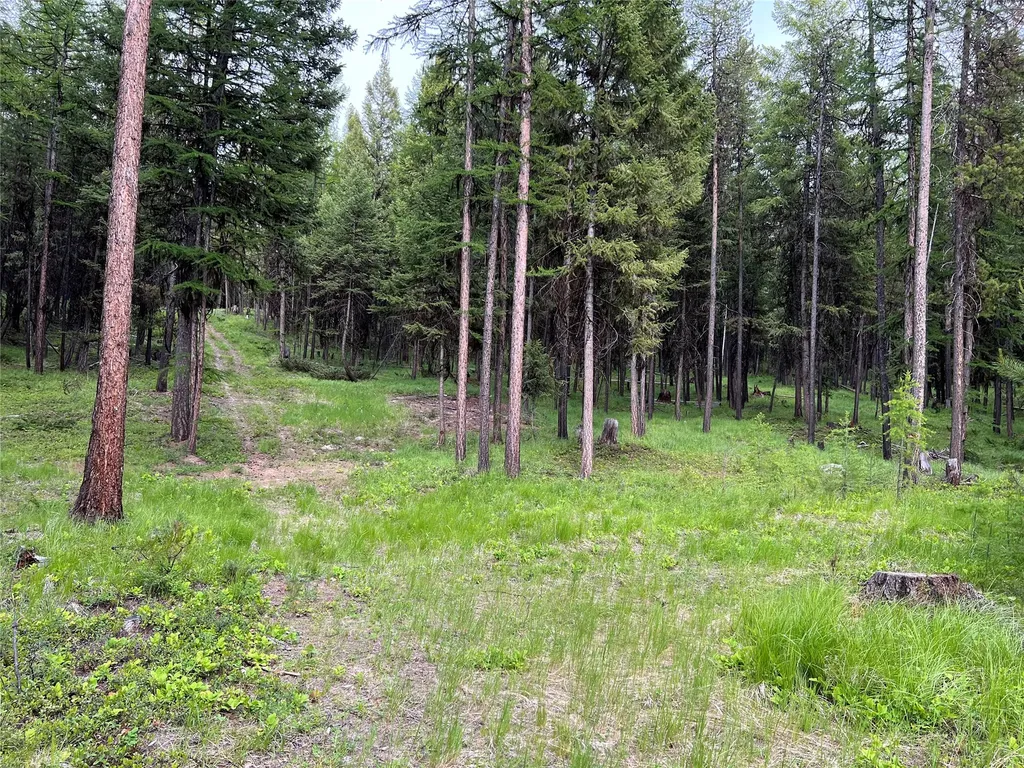673 Soaring Eagle Trail Fortine MT 59918