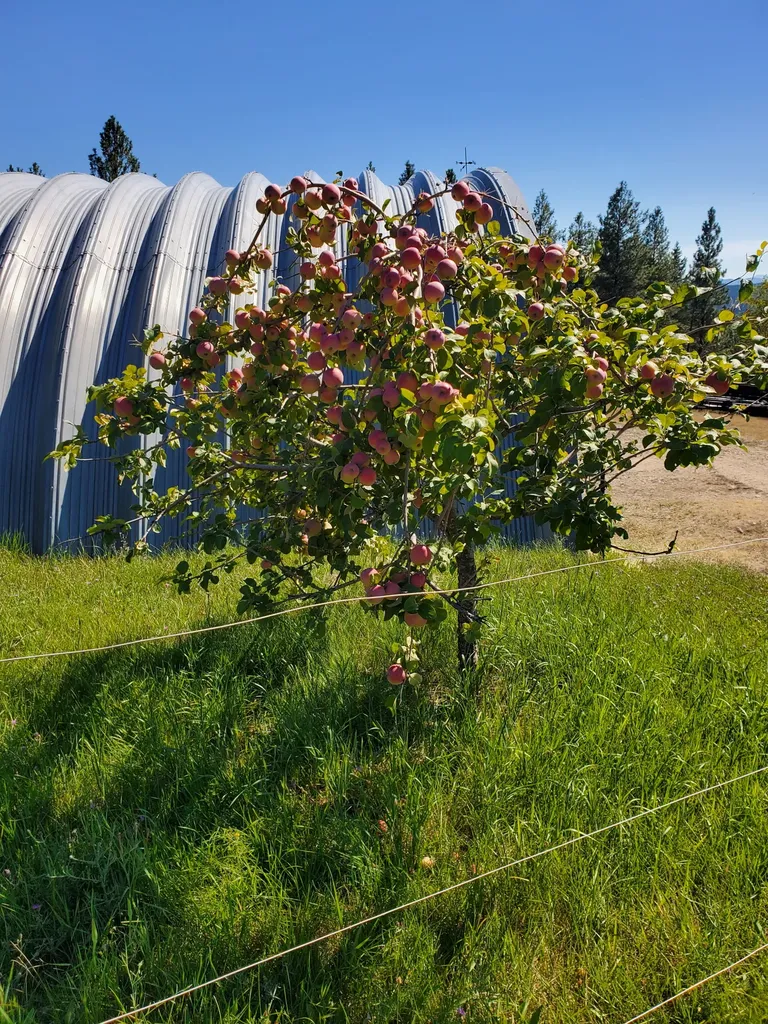575 S Rolling Hills Road Eureka MT 59917