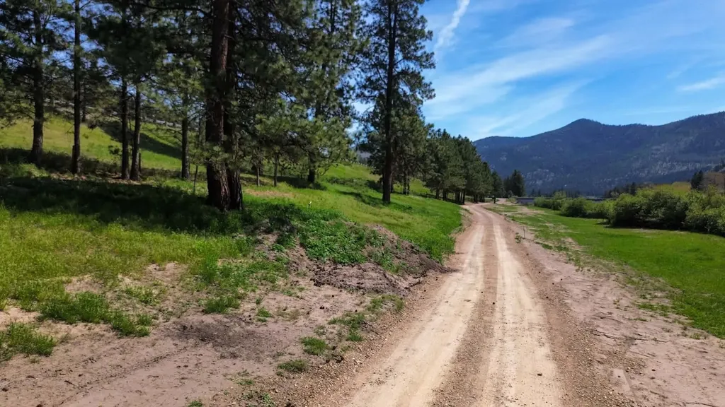 1205 Petty Creek Road Alberton MT 59820
