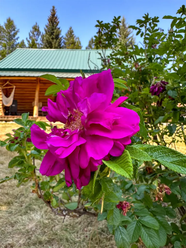 6780 Mount Highway 83 Condon MT 59826