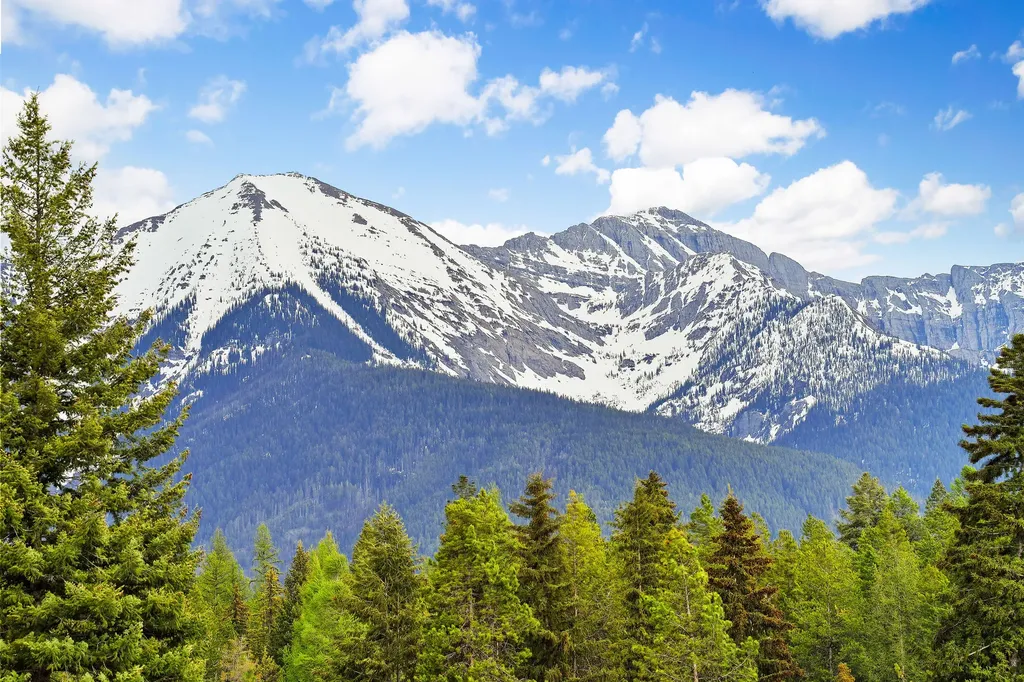 6780 Mount Highway 83 Condon MT 59826
