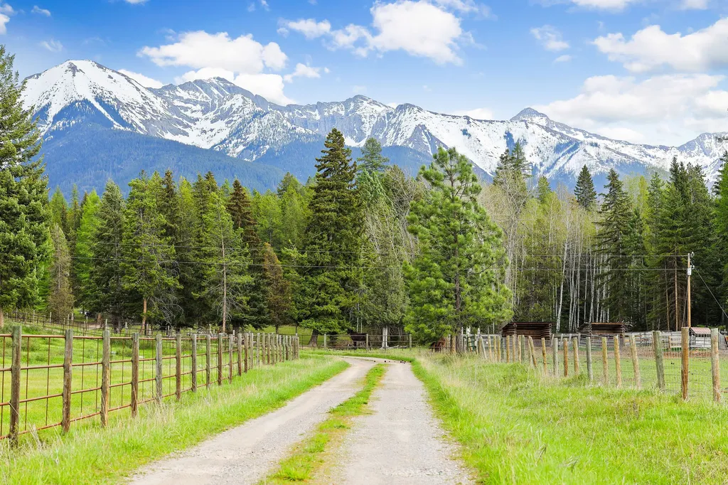 6780 Mount Highway 83 Condon MT 59826