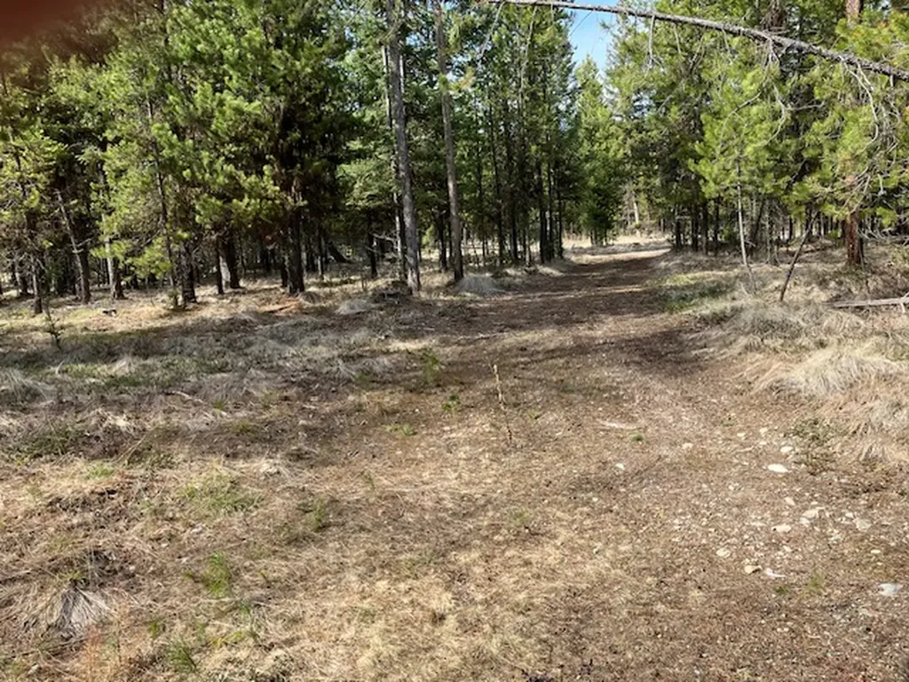 178 Idaho Hill Road Marion MT 59925