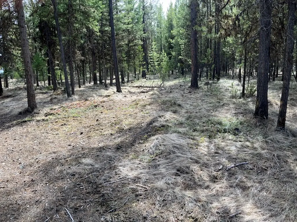 178 Idaho Hill Road Marion MT 59925