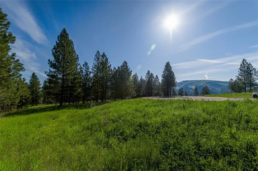 6896 Jack Pine Court Lolo MT 59847