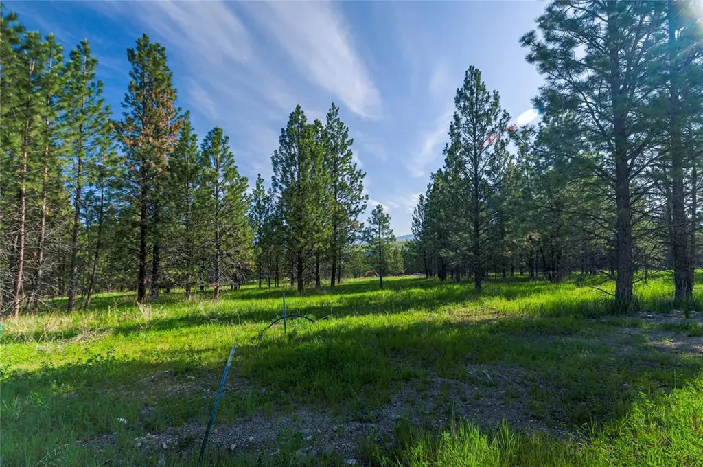 6896 Jack Pine Court Lolo MT 59847