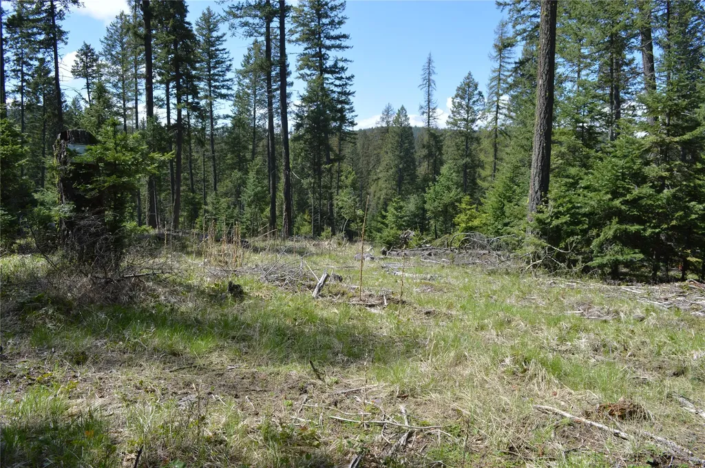 200 Whitefish Hills Drive Whitefish MT 59937