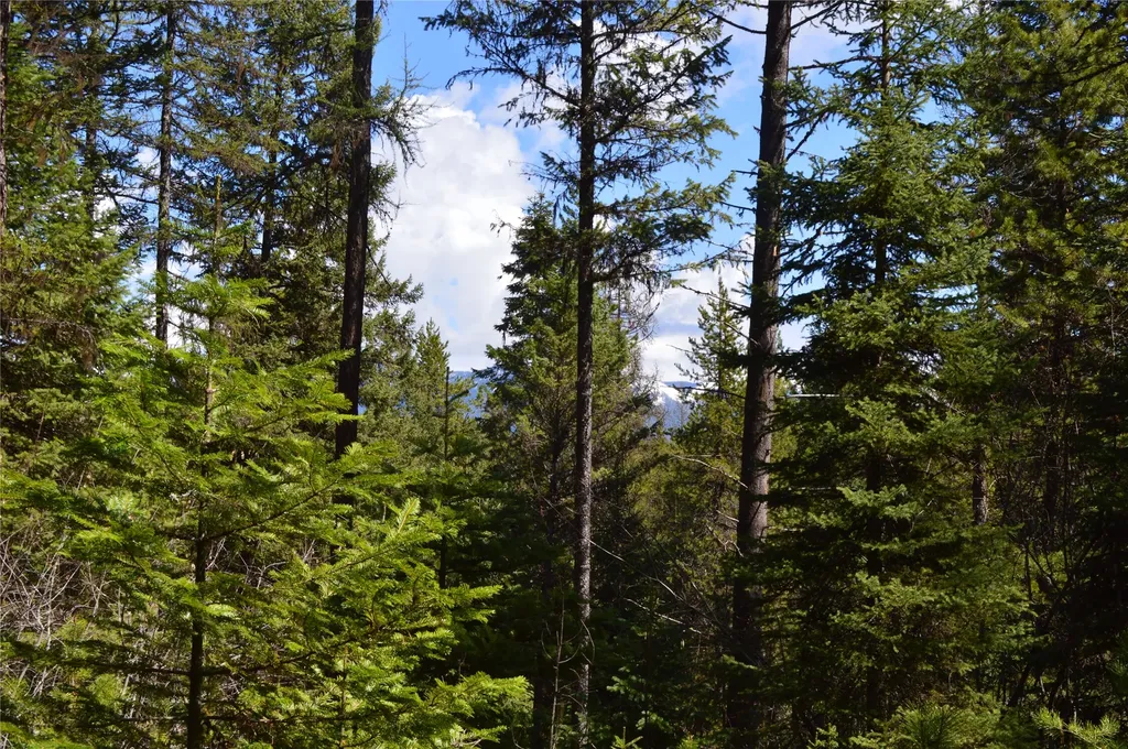 200 Whitefish Hills Drive Whitefish MT 59937