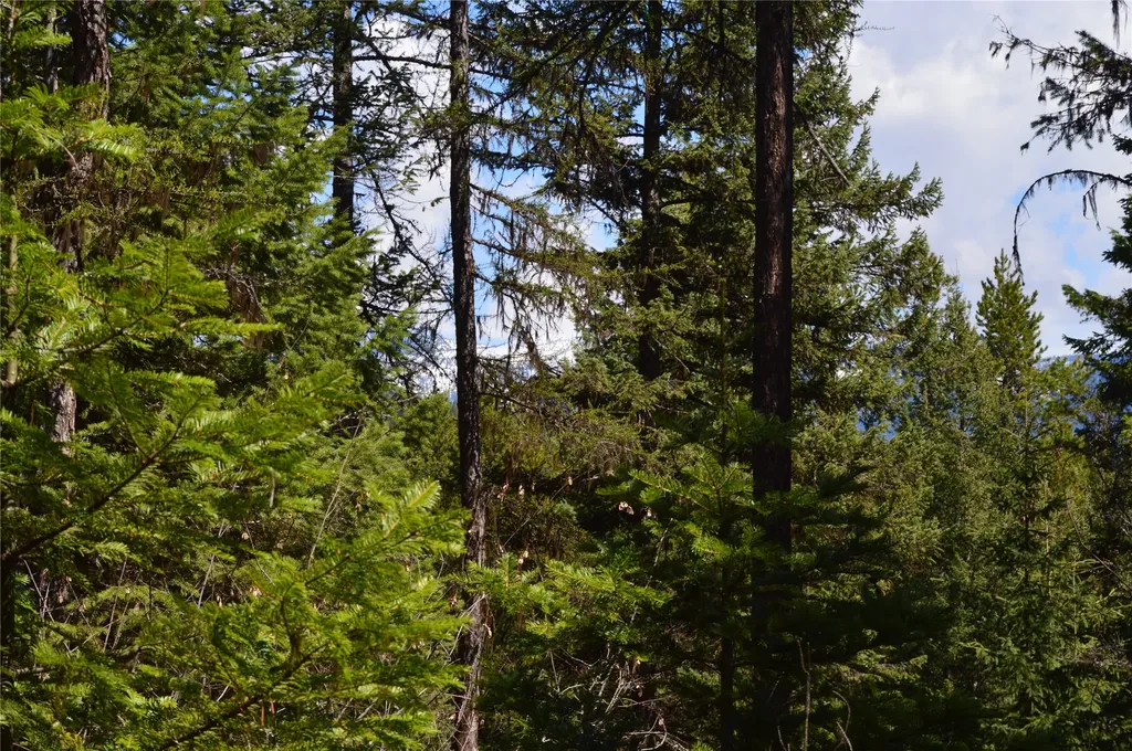 200 Whitefish Hills Drive Whitefish MT 59937