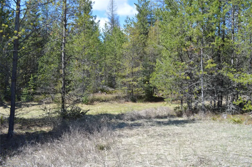200 Whitefish Hills Drive Whitefish MT 59937