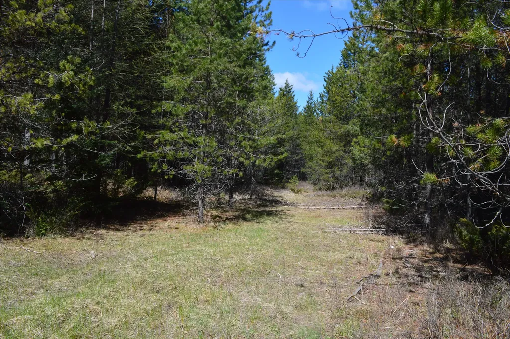 200 Whitefish Hills Drive Whitefish MT 59937