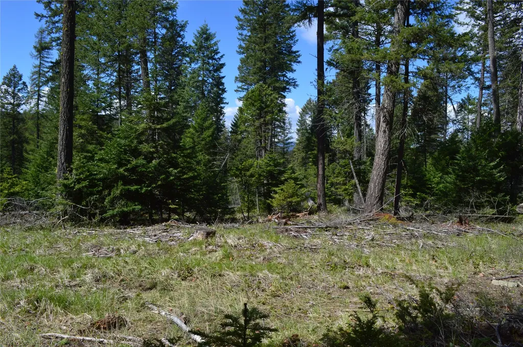 200 Whitefish Hills Drive Whitefish MT 59937