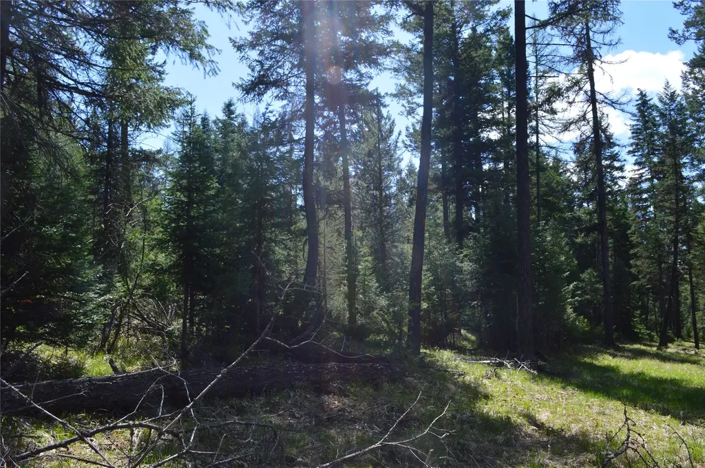 200 Whitefish Hills Drive Whitefish MT 59937