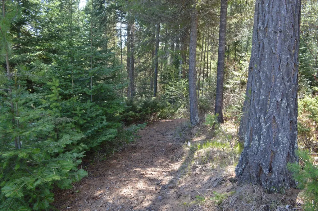 200 Whitefish Hills Drive Whitefish MT 59937