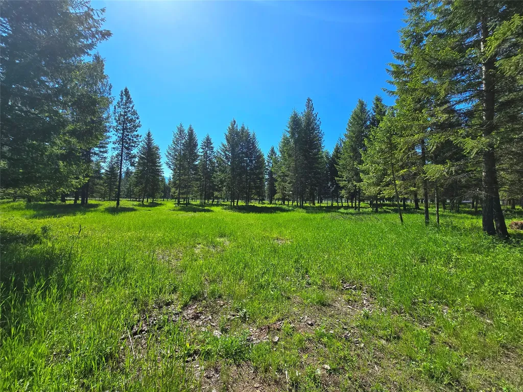 19 Faro Lane Trout Creek MT 59874