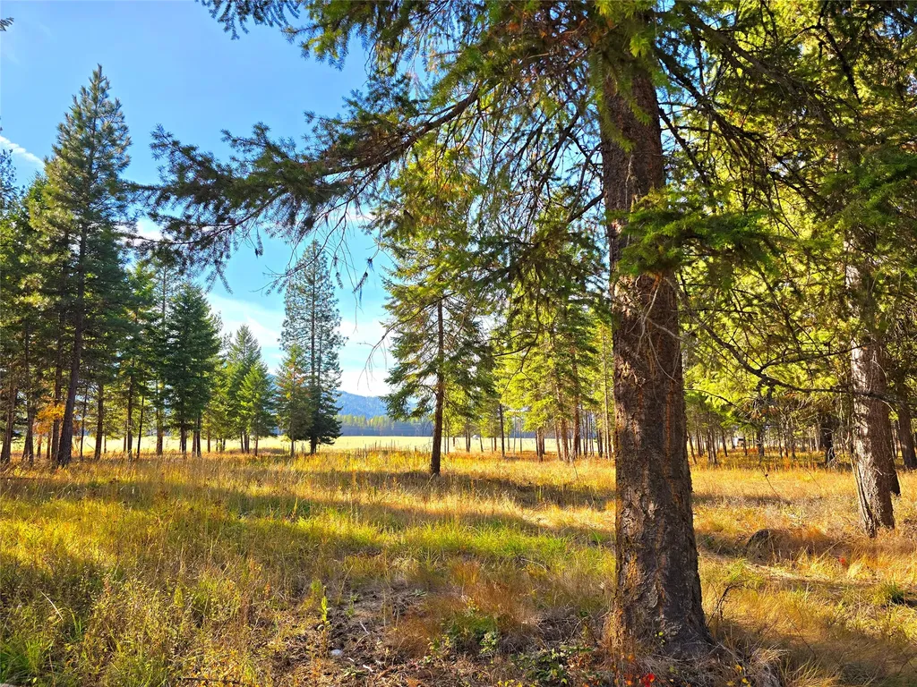 19 Faro Lane Trout Creek MT 59874