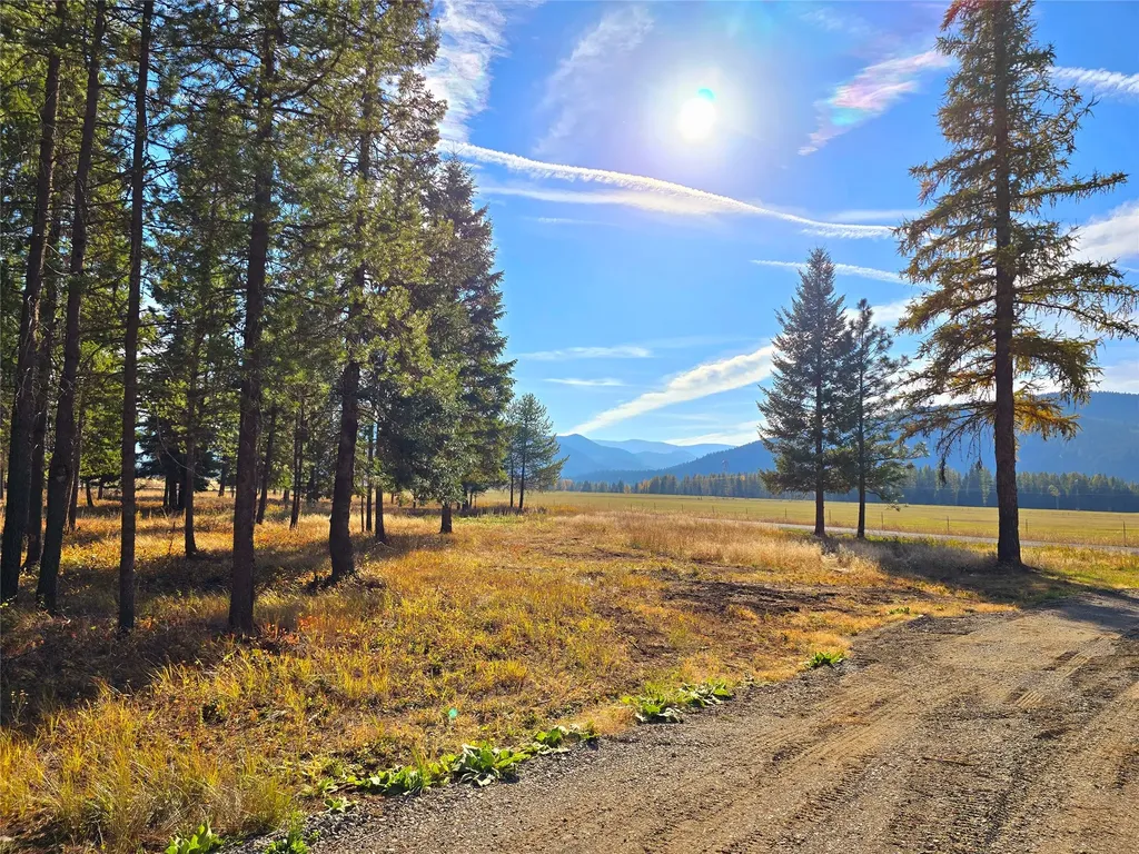 19 Faro Lane Trout Creek MT 59874