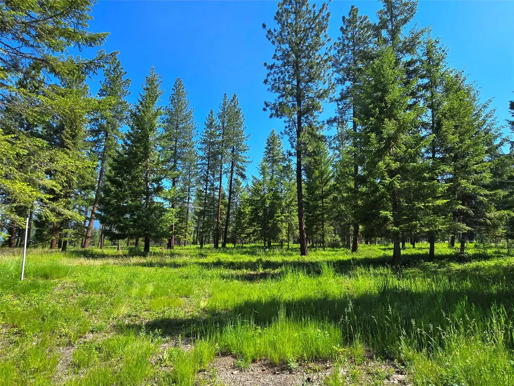 19 Faro Lane Trout Creek MT 59874