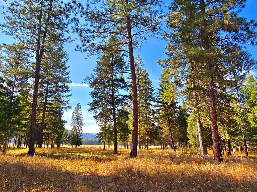 19 Faro Lane Trout Creek MT 59874