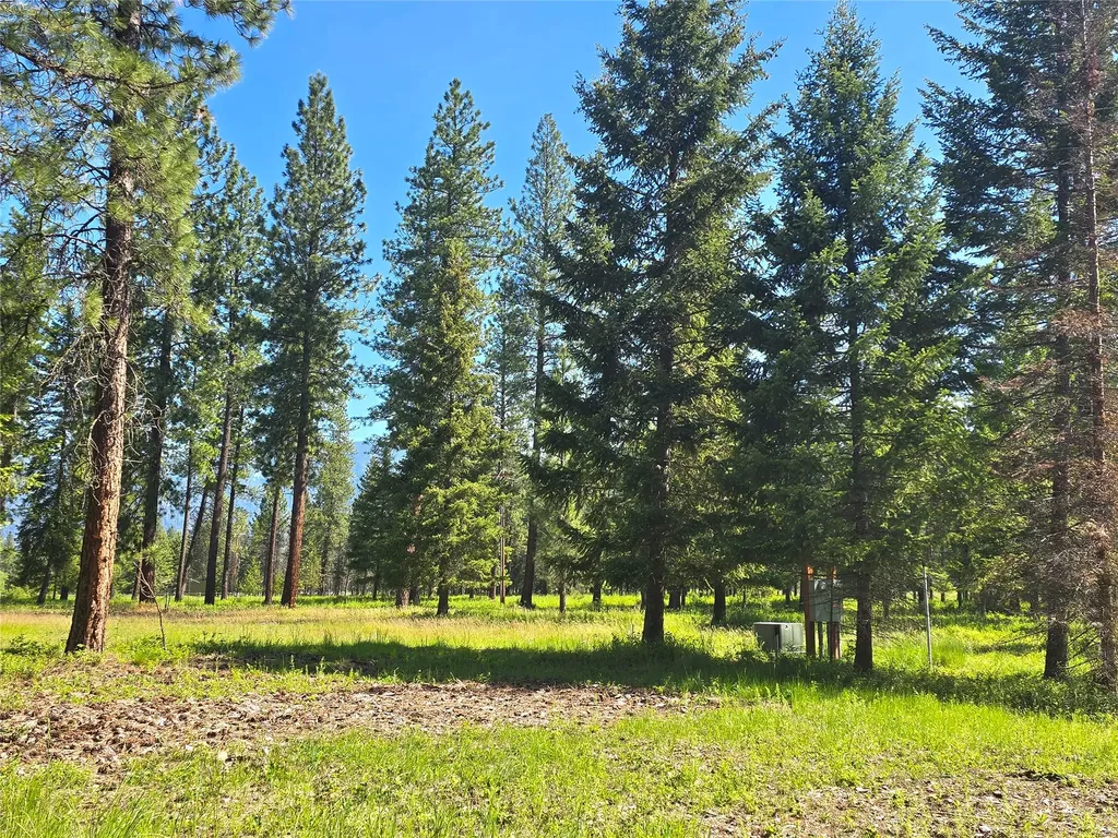 19 Faro Lane Trout Creek MT 59874