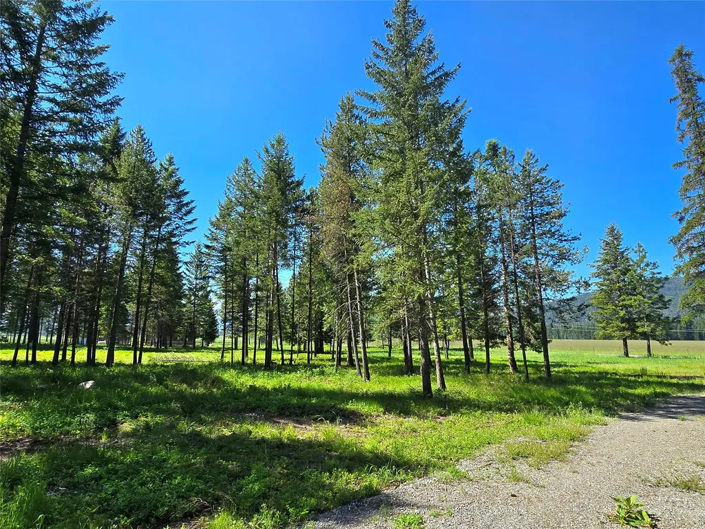 19 Faro Lane Trout Creek MT 59874