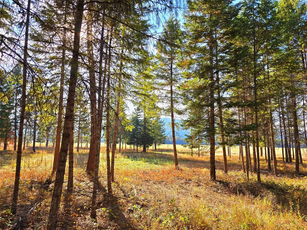 19 Faro Lane Trout Creek MT 59874