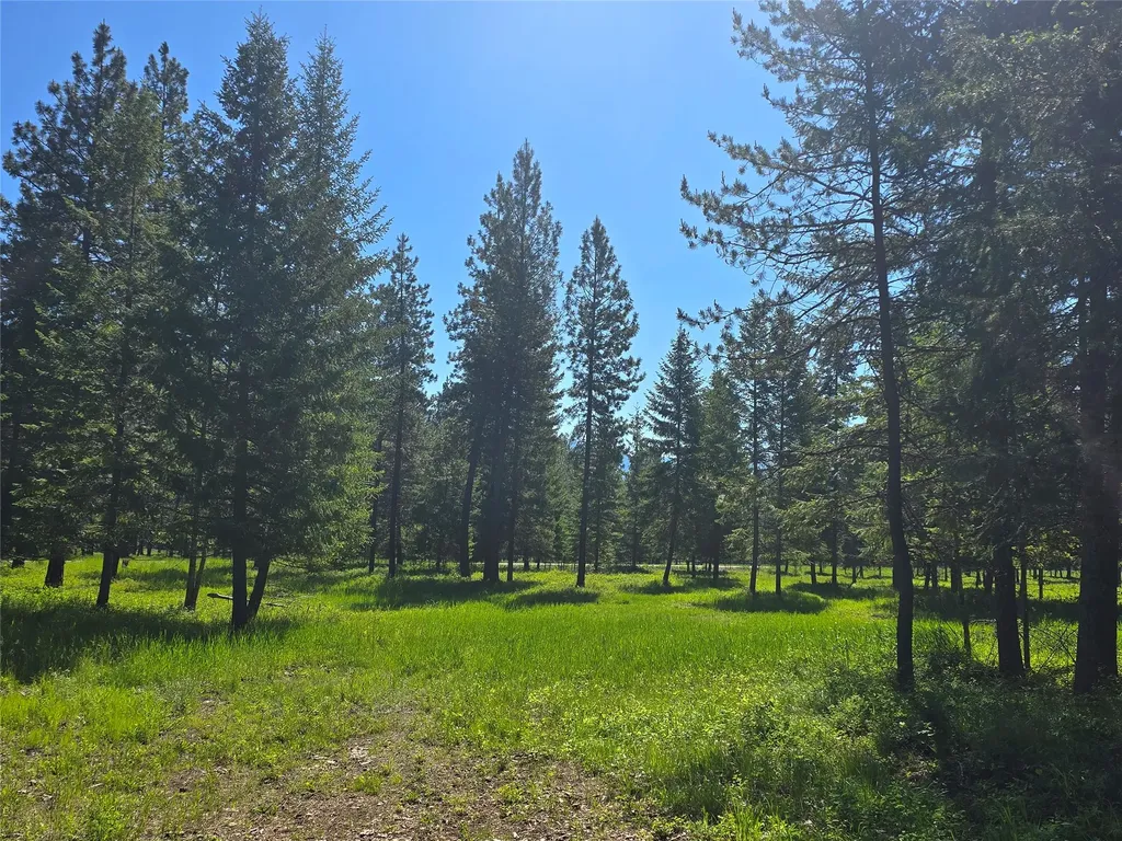 19 Faro Lane Trout Creek MT 59874