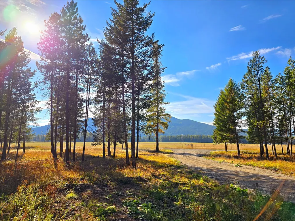 19 Faro Lane Trout Creek MT 59874