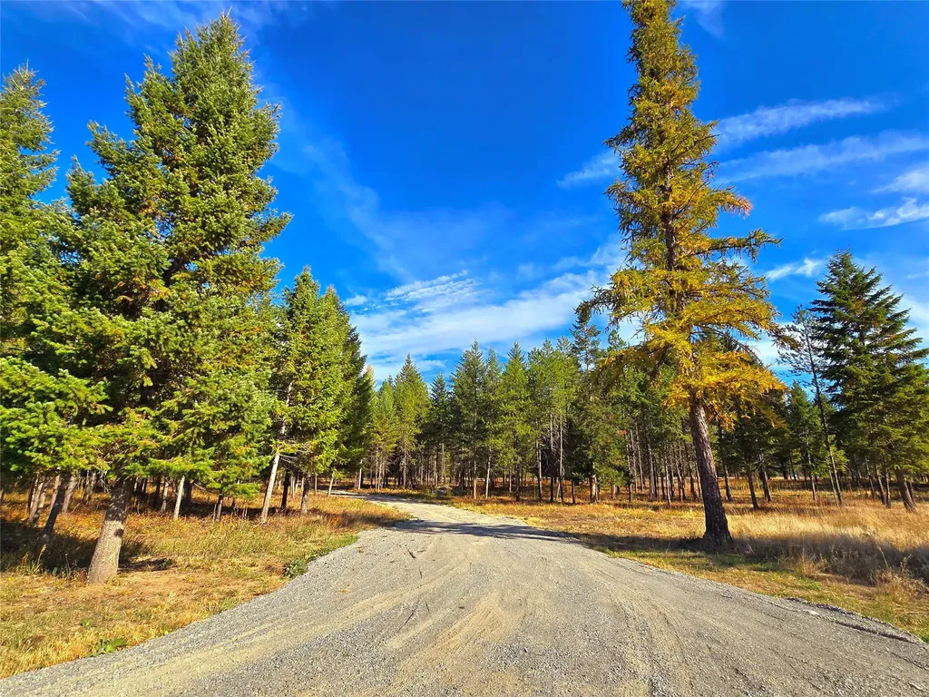 19 Faro Lane Trout Creek MT 59874