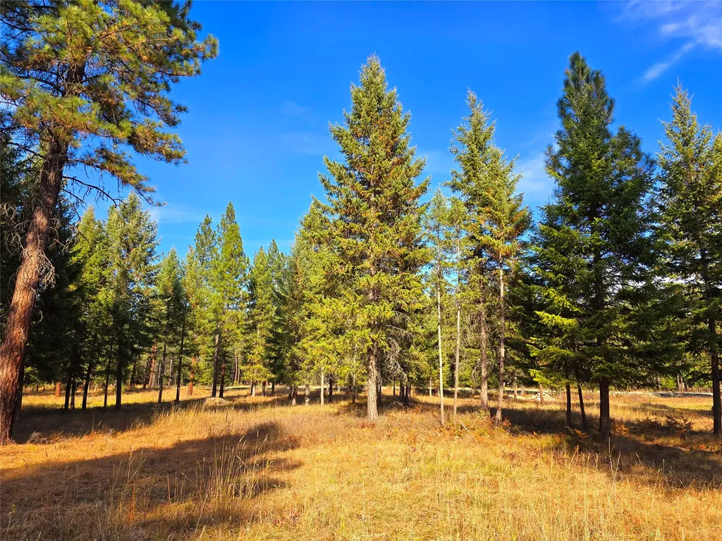 19 Faro Lane Trout Creek MT 59874