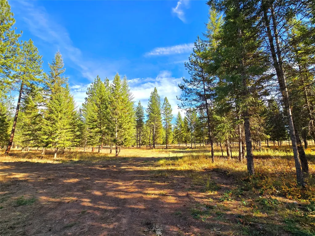 19 Faro Lane Trout Creek MT 59874