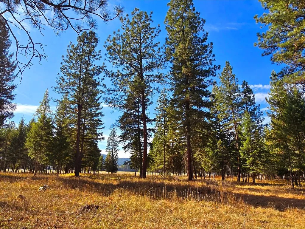 19 Faro Lane Trout Creek MT 59874