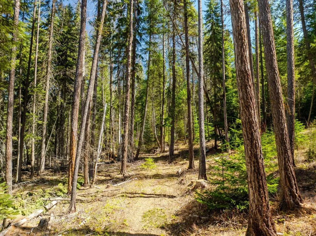 675 Beaver Lake Road Whitefish MT 59937