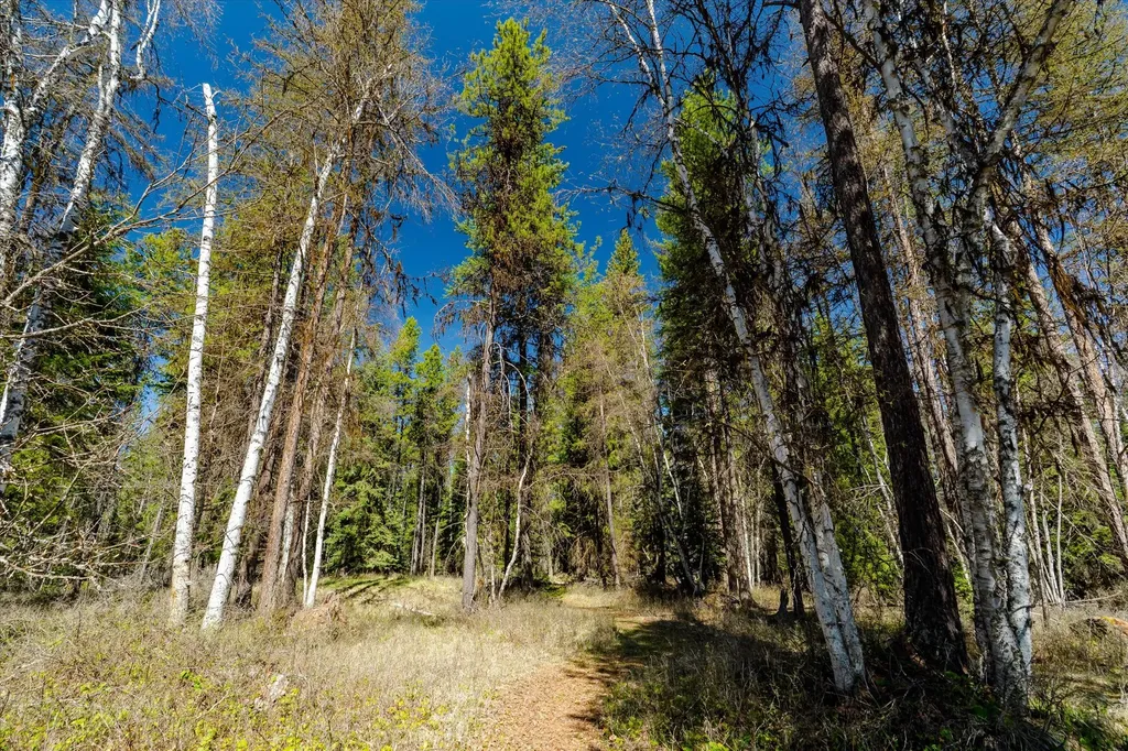 675 Beaver Lake Road Whitefish MT 59937