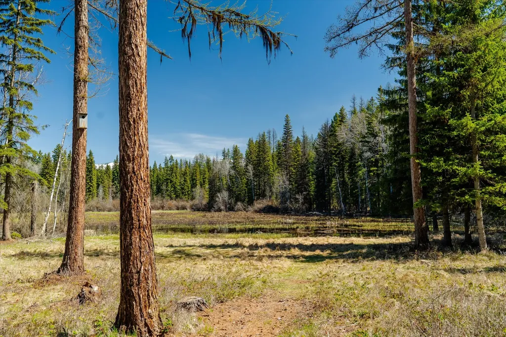 675 Beaver Lake Road Whitefish MT 59937