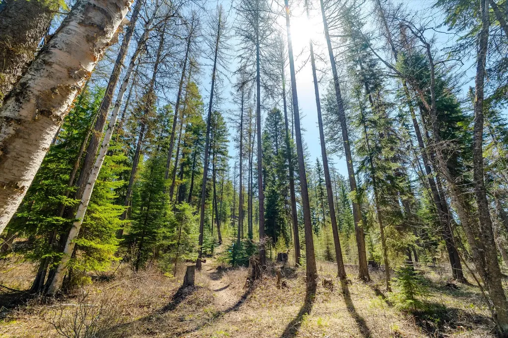 675 Beaver Lake Road Whitefish MT 59937