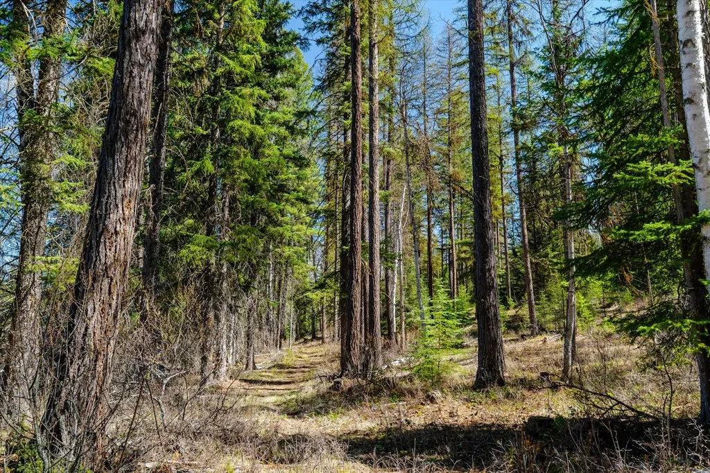 675 Beaver Lake Road Whitefish MT 59937