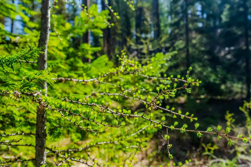 675 Beaver Lake Road Whitefish MT 59937