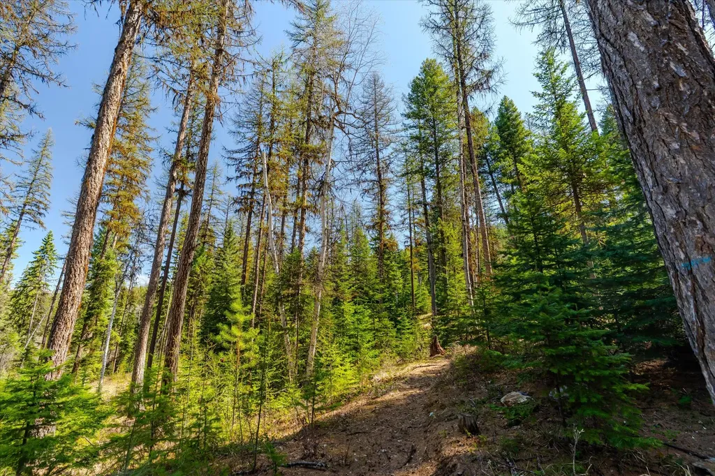 675 Beaver Lake Road Whitefish MT 59937
