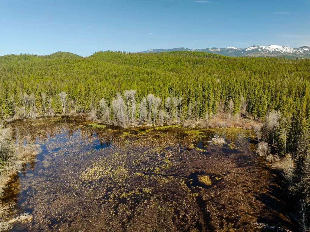 675 Beaver Lake Road Whitefish MT 59937